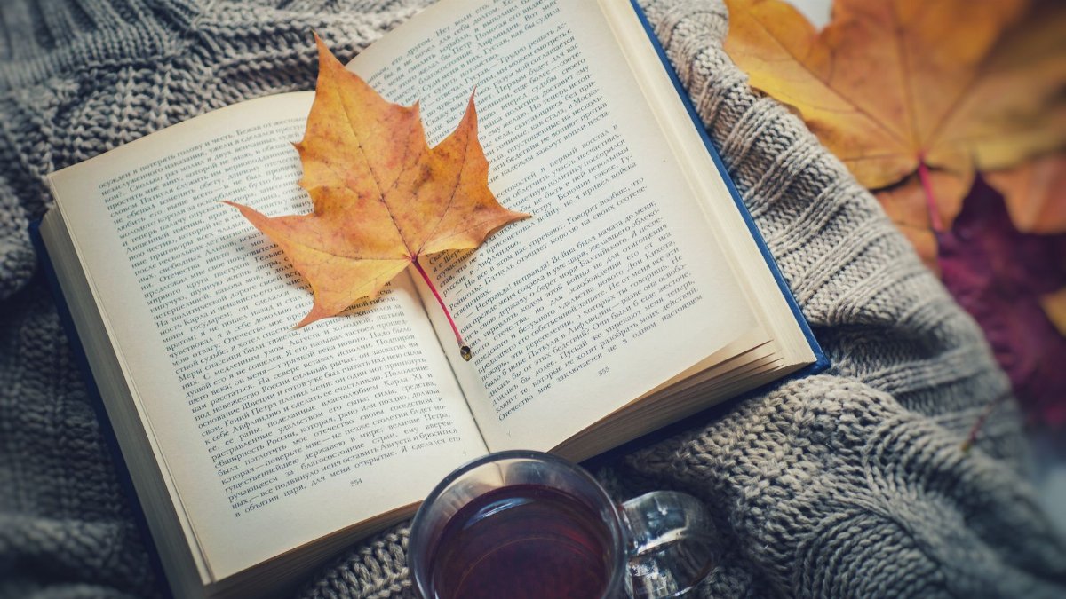 A warm scene featuring an open book, maple leaf, and a cup of tea on a knitted blanket, symbolizing cozy fall reading.
