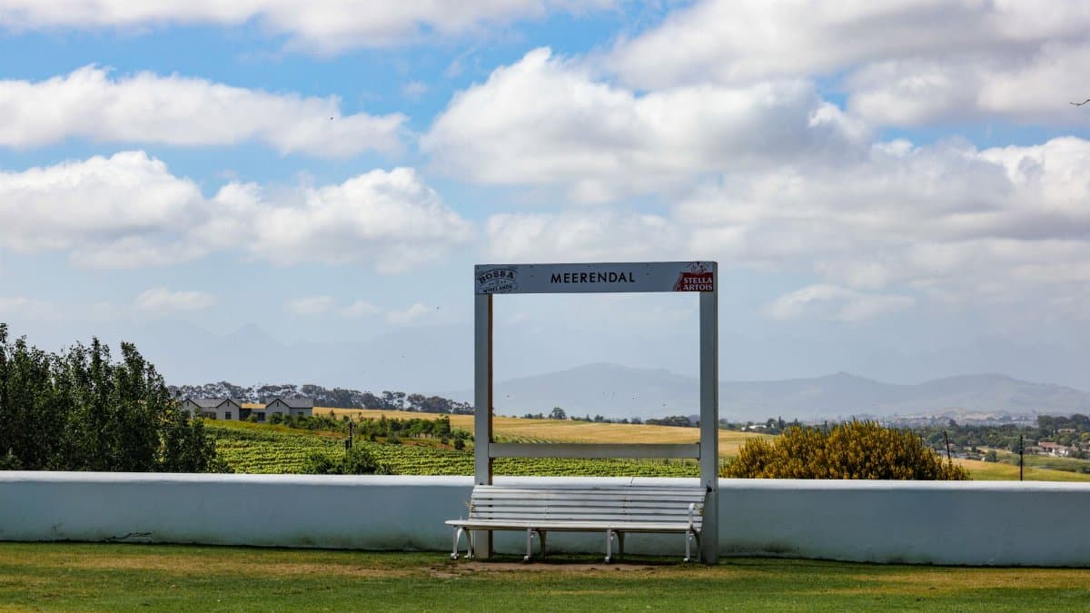 Scenic view of vineyard and countryside with an empty bench frame at Meerendal under a cloudy sky.