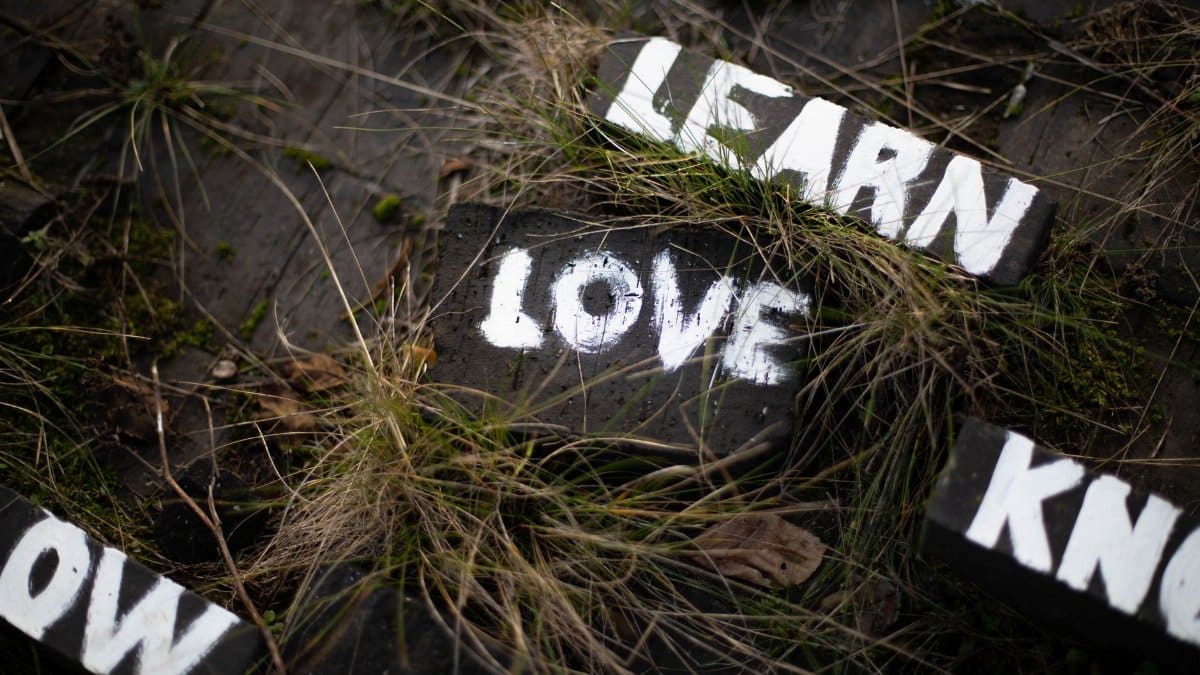 Artistic outdoor scene with painted bricks featuring words like love, learn, and know amidst grass.