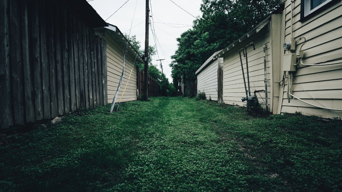 Rustic alleyway with grass pathway between wooden and metal fences in a residential area.