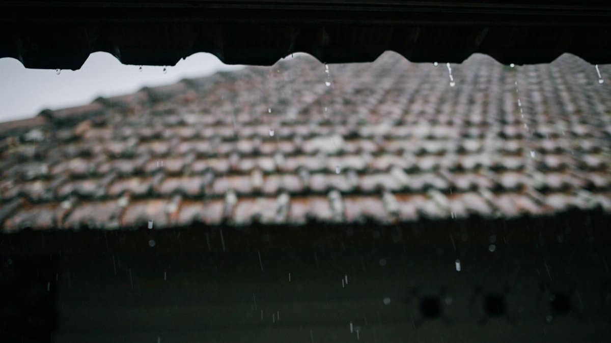 Close-up of a tiled roof with rain drops falling, capturing the moody ambiance of a rainy day.