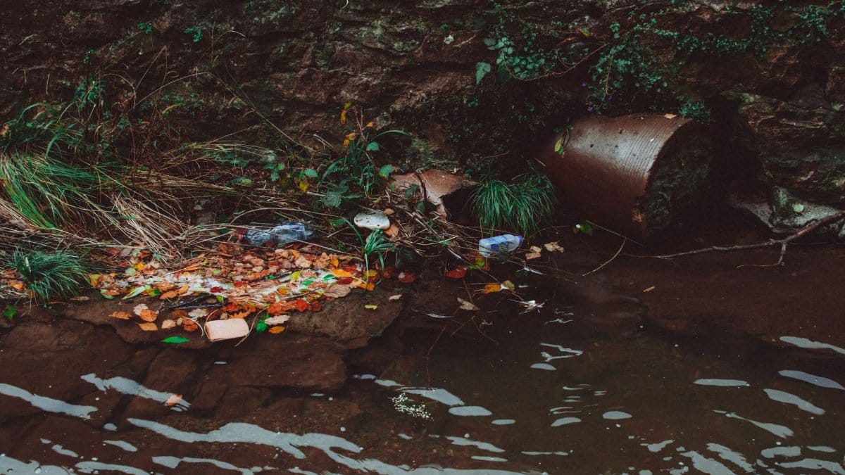 A riverbank littered with trash, highlighting environmental pollution and the need for recycling efforts.