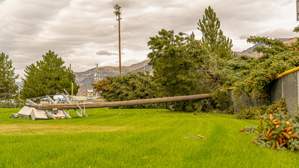 Fallen trees and electric poles after a storm in Hyrum, Utah field.