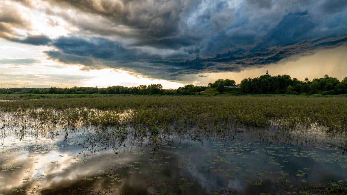 Intense storm clouds gather over tranquil wetlands in Garešnica, Croatia.
