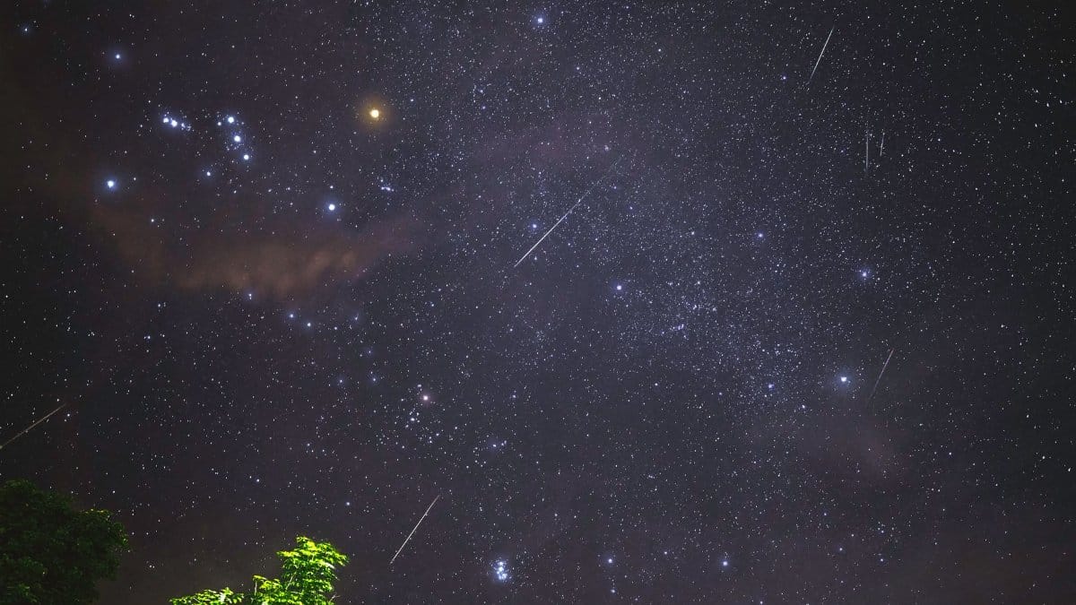 Captivating view of a meteor shower with bright stars over Malita, Philippines, highlighting the night sky beauty.
