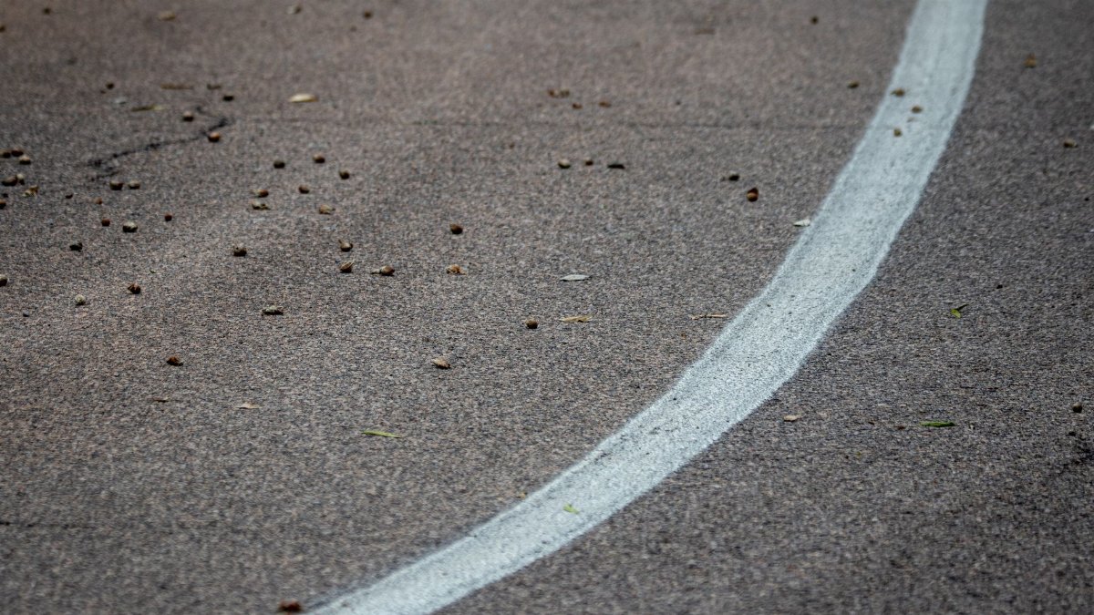 Close-up of a curved white line on textured pavement with scattered debris.