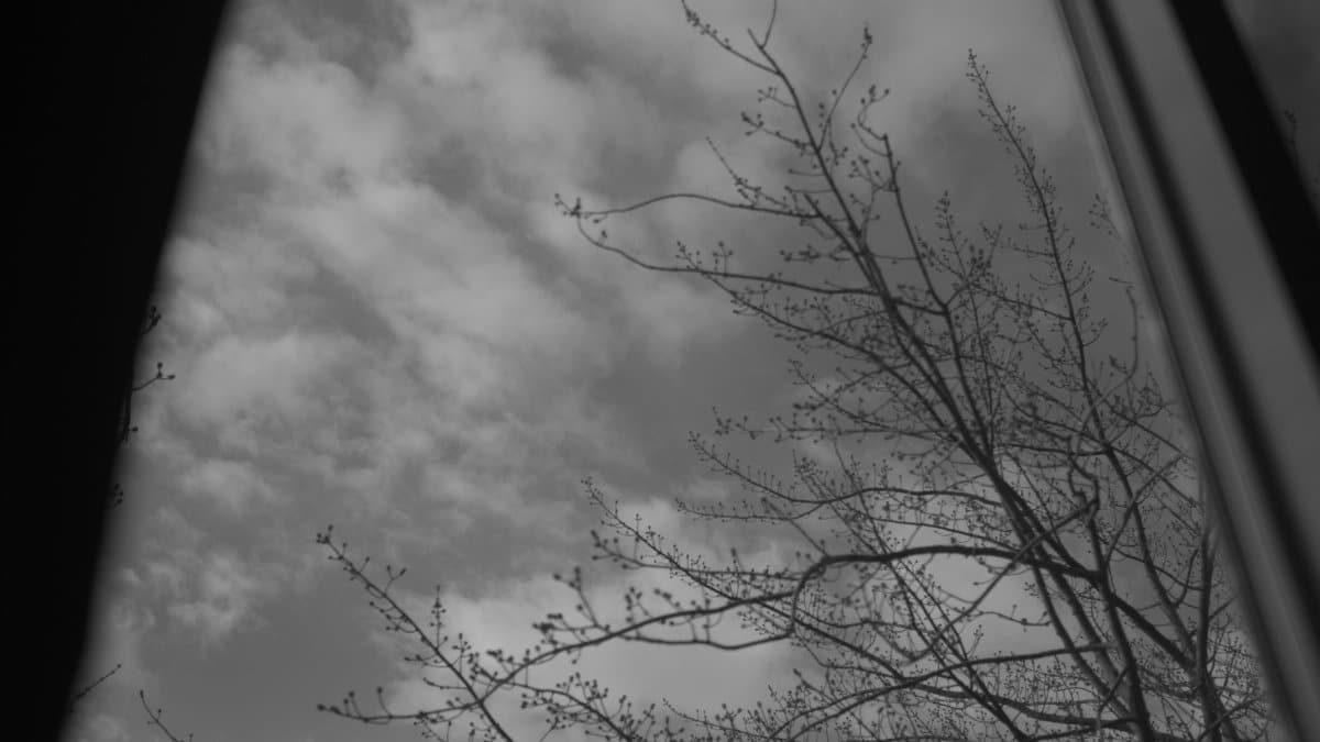 Black and white view of branches against a cloudy sky through a window.