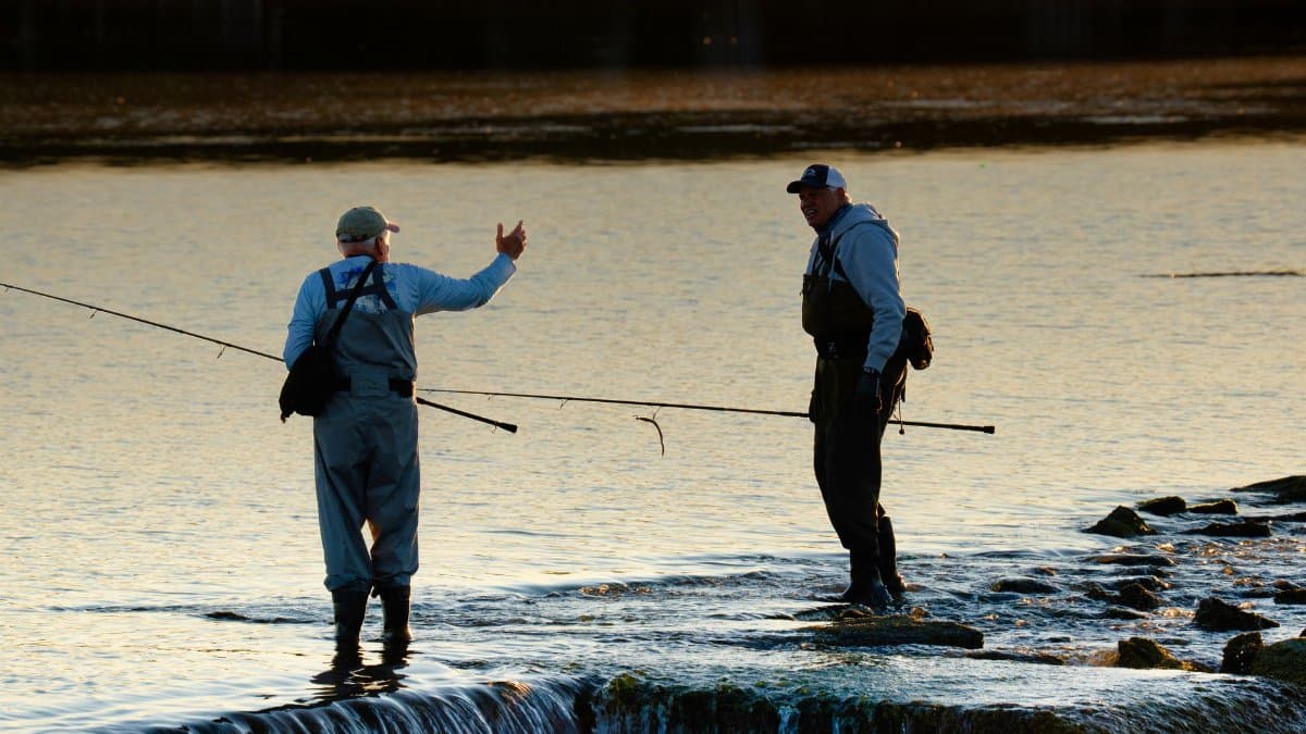 Two fishermen standing at dawn in Cove Island Park, Stamford with fishing rods.