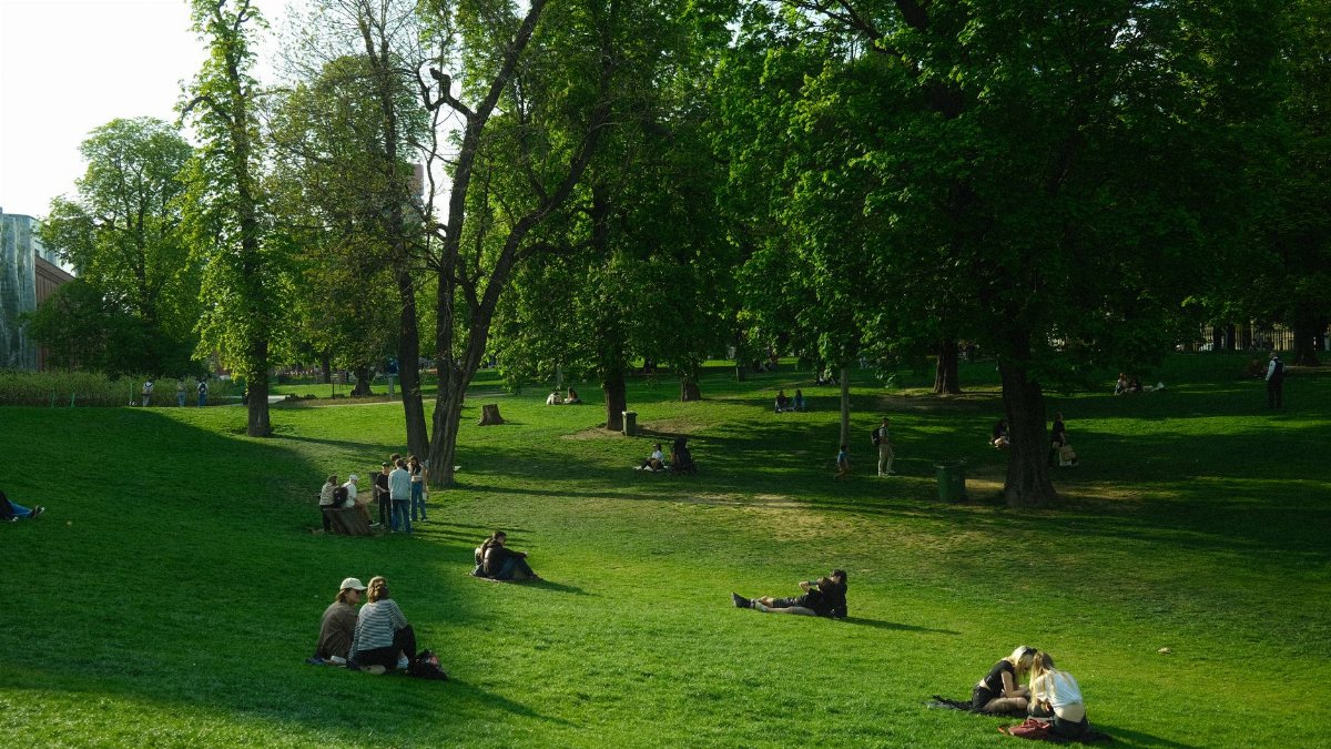 People enjoy a sunny day relaxing in a lush green park under tall trees.