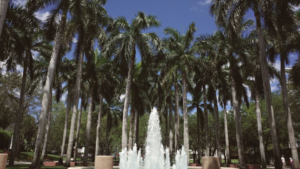 A serene fountain surrounded by tall palm trees at a university campus in Coral Gables, Florida.