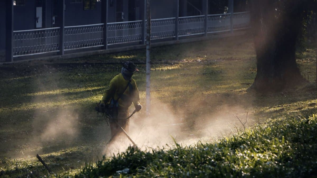 A man cuts grass in the Philippines, creating a dust cloud in the sunlight.