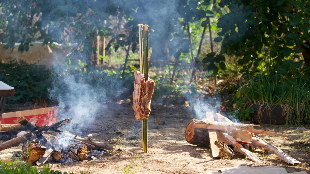 Smoky outdoor cooking scene with firewood and meat over open fire, perfect for summer gatherings.