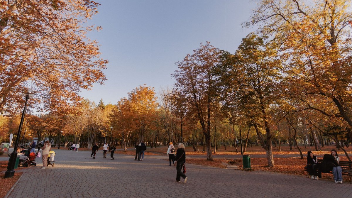People enjoying a walk in a park during fall, surrounded by vibrant autumn foliage under a clear blue sky.