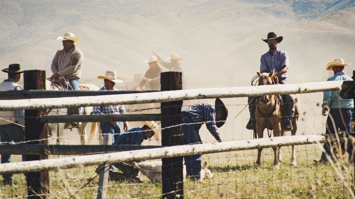 Rural landscape with cowboys on horseback wrangling cattle in a dusty field.