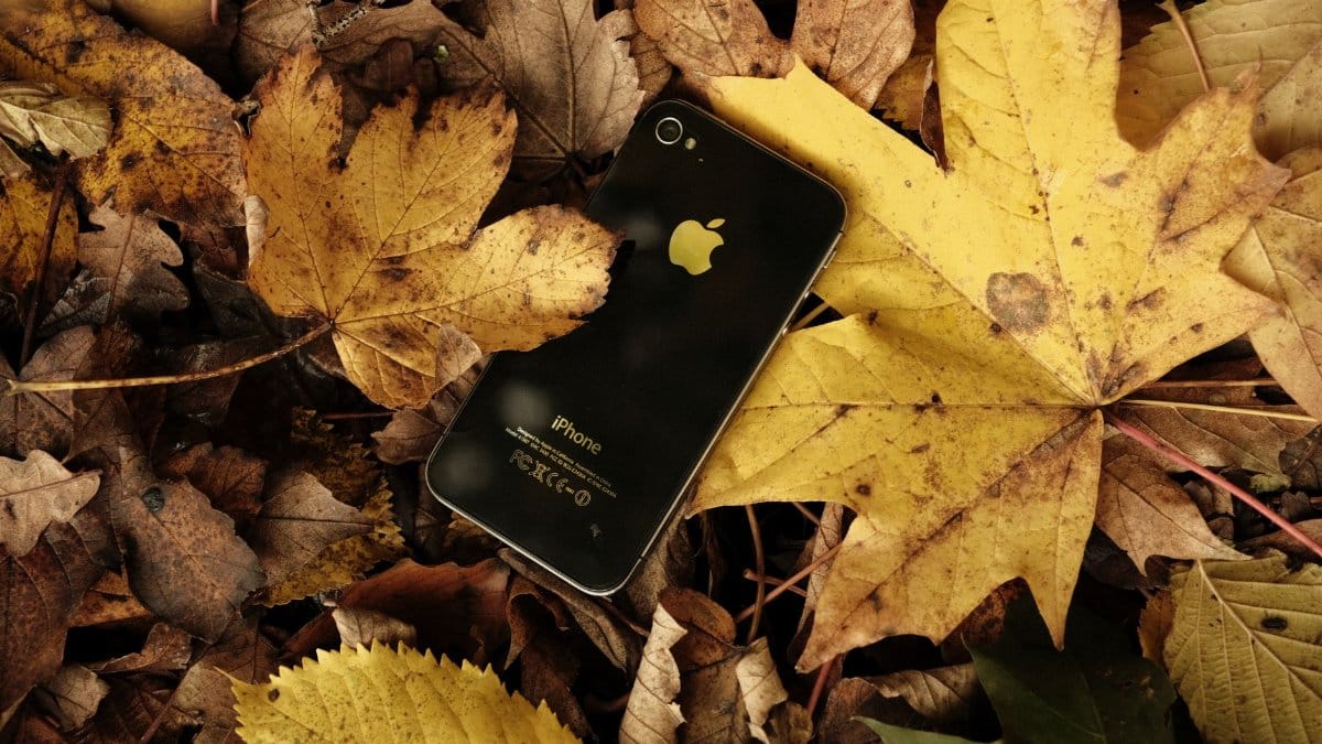 Black smartphone resting on colorful autumn leaves, showcasing fall ambiance.