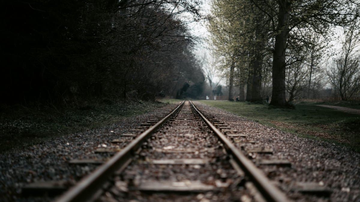 A tranquil railway track running through a forest, offering a sense of calm and solitude.