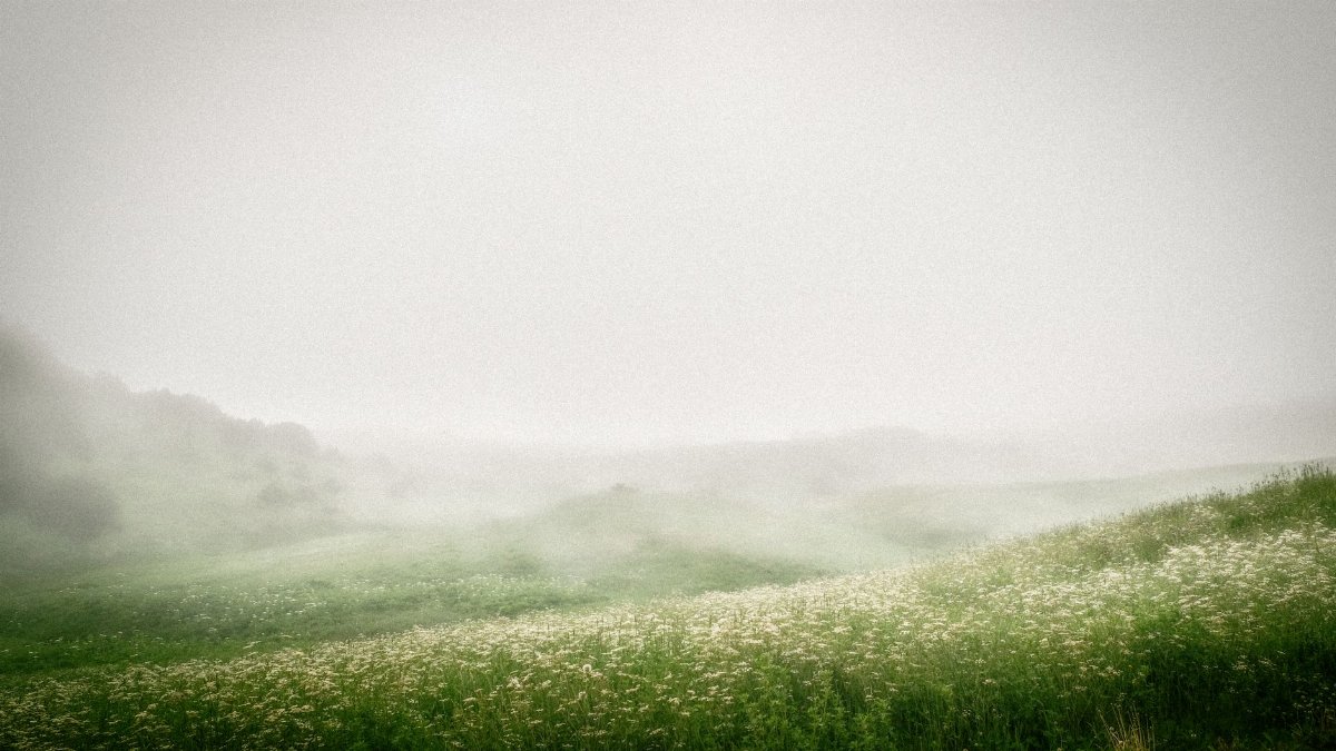 Tranquil misty landscape with lush green hills and white wildflowers, evoking calm and peace.