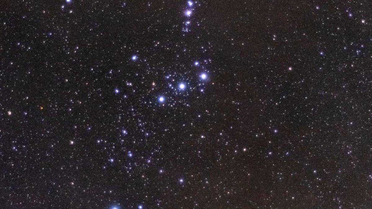 Captivating image of a starry night featuring the Orion constellation amidst a sea of stars.