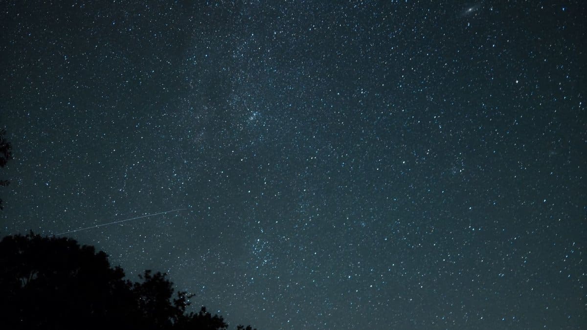 A beautiful night sky full of stars captured over the trees in Germany.