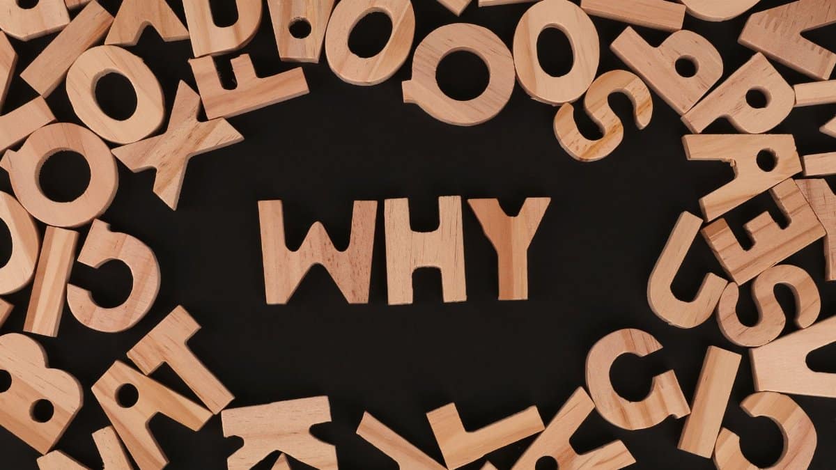 Scattered wooden alphabet letters with the word WHY at the center on a black background in a flat lay arrangement.