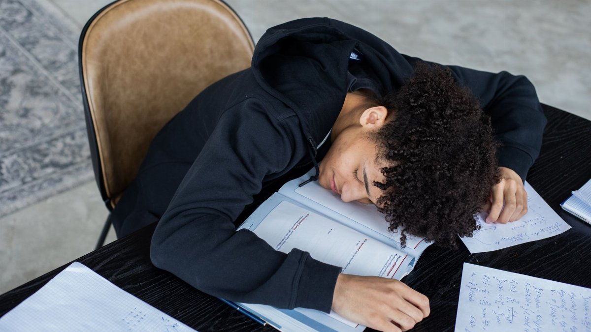 High angle of exhausted African American student resting on opened textbook and papers while preparing for exam