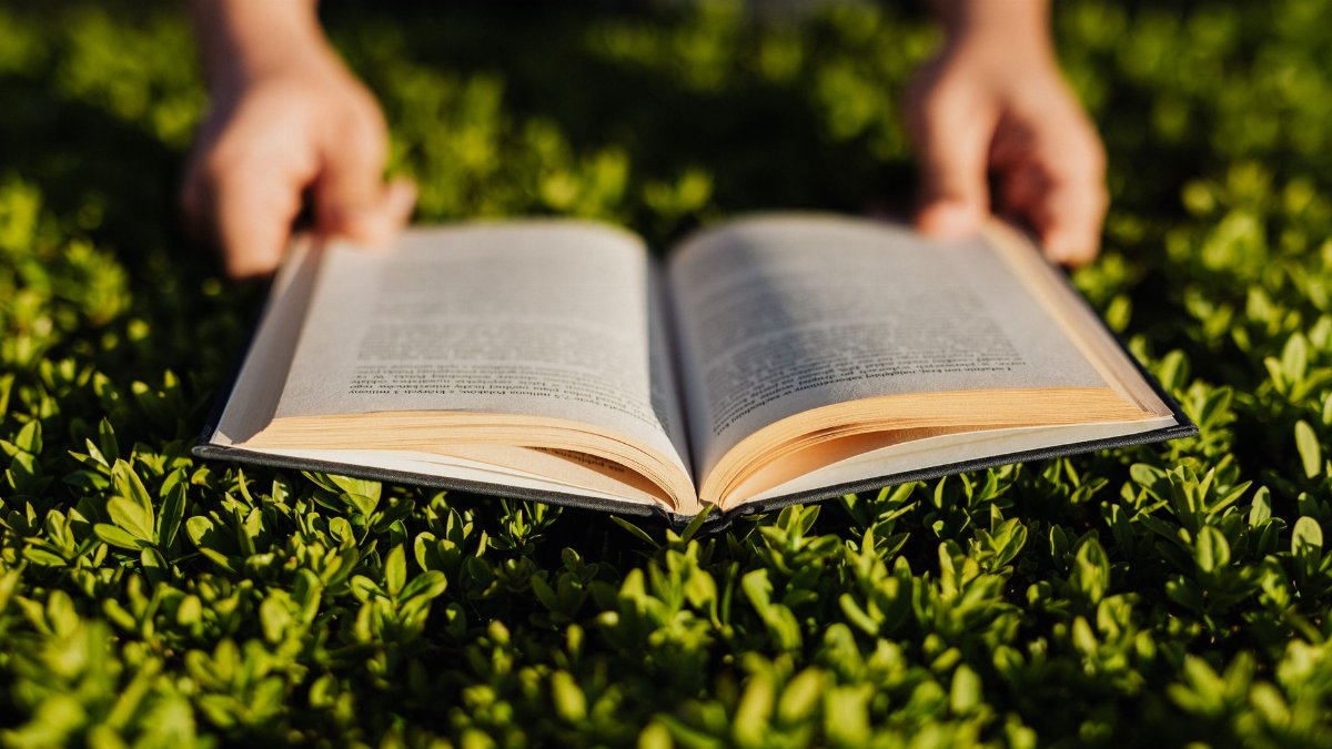 Crop anonymous person enjoying plot of captivating book while resting on fresh green grass in sunlit park
