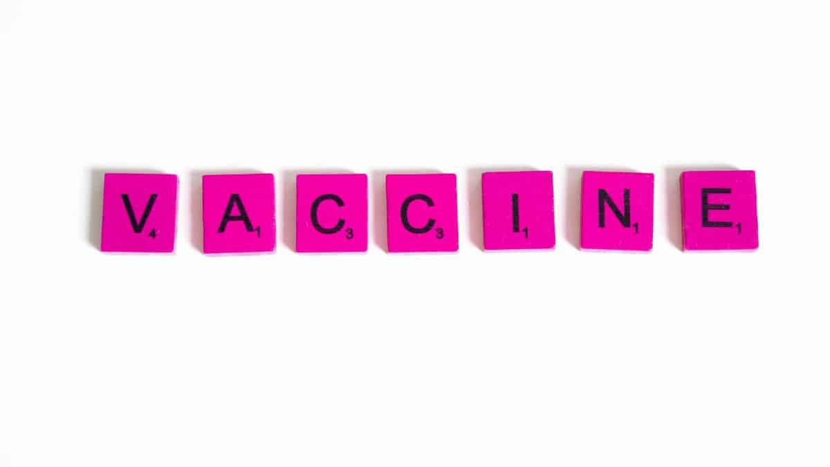 Bright pink Scrabble tiles spelling 'VACCINE' on a clean white background, concept of vaccination.