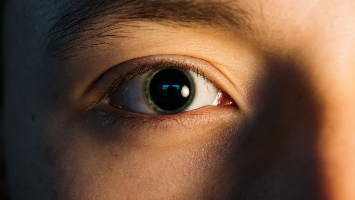Detailed close-up of a human eye with shadow highlighting the textures and pupil.